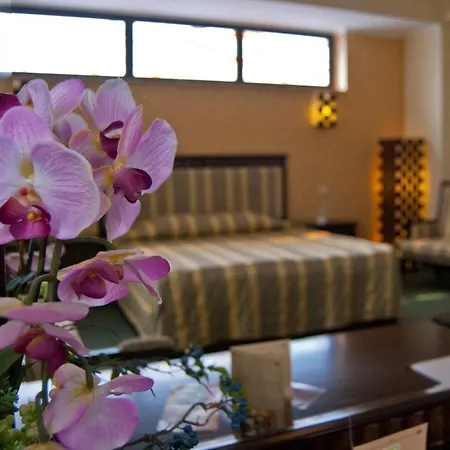 Hotel Tecadra Pipera